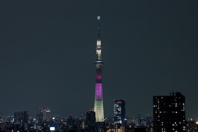 東京スカイツリー夜景「明花:ハイビスカス」