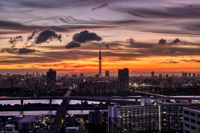 東京スカイツリー夕景