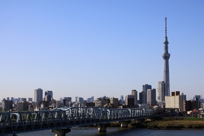 首都高C2から橋と東京スカイツリー