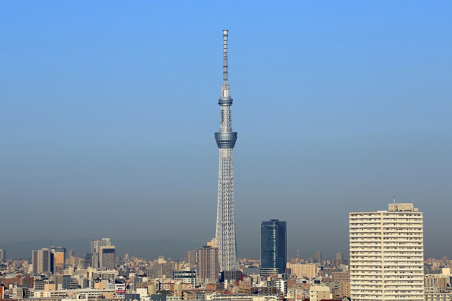 本日の東京スカイツリー 16年12月9日 東京スカイツリー定点観測所