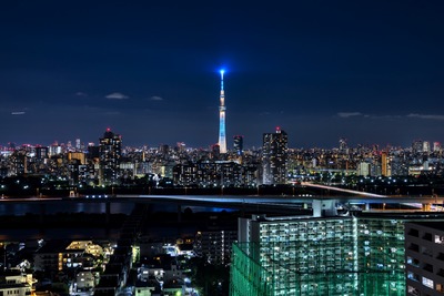 粋