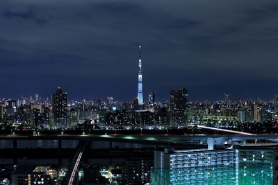 東京スカイツリー夜景「咲」