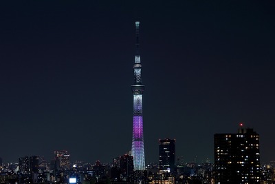 東京スカイツリー夜景「舞」