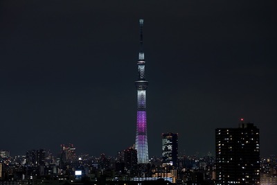 東京スカイツリー夜景「舞」