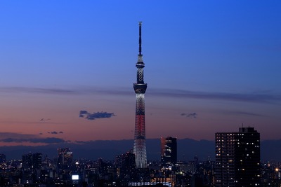 キャンドルツリー