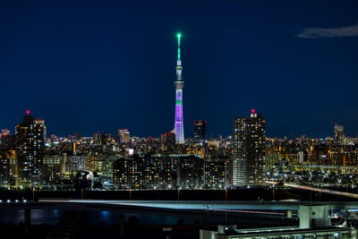 竈門禰豆子(かまどねずこ)をイメージした特別ライティング