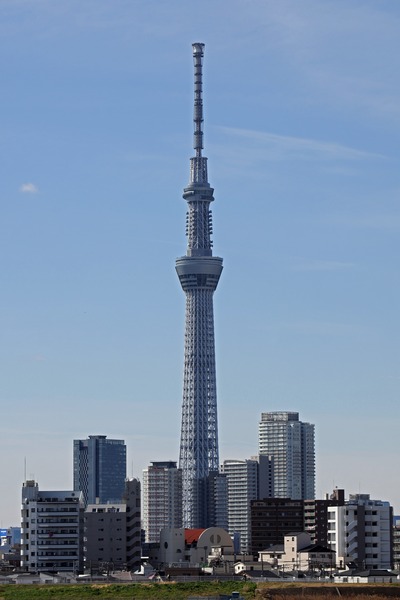 曳舟のタワマン群と東京スカイツリー