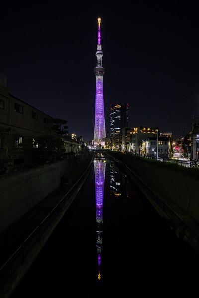 ディズニー創立100周年 ウィッシュ