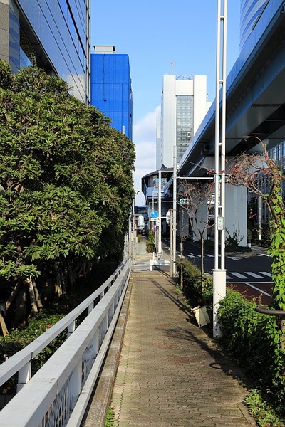 竹芝