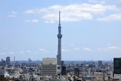 文京シビックセンターから見た東京スカイツリー