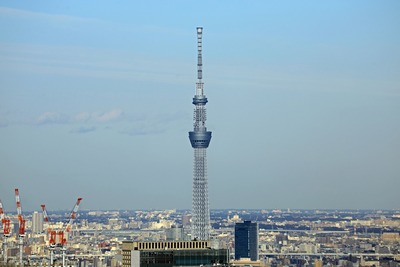 東京タワーから見た東京スカイツリー