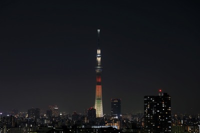 マリーゴールド