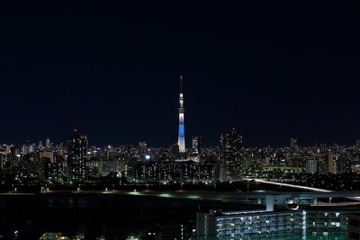 東京スカイツリー夜景「粋」