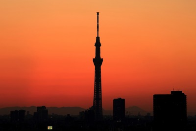 東京スカイツリー夕景