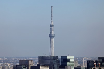 渋谷スカイから見た東京スカイツリー