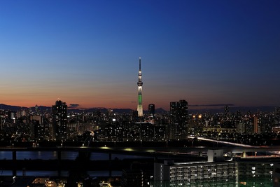 クリスマスライブの東京スカイツリー