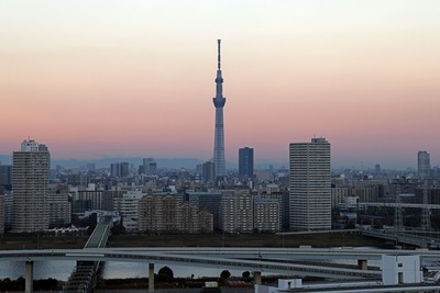 ほんのり朝焼けと東京スカイツリー