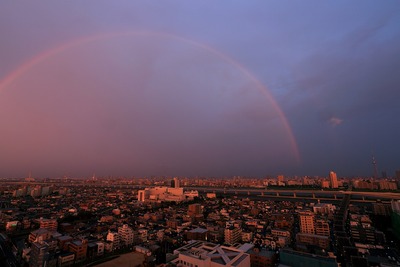 虹とスカイツリー