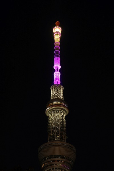 皆既月食と東京スカイツリー