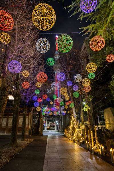 クリスマス特別ライティング「サンタクロース」