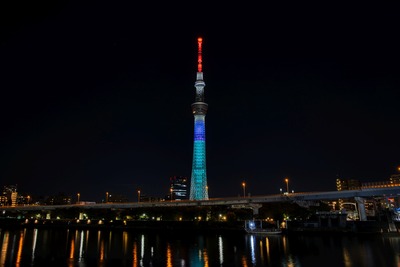 ディズニー創立100周年 アリエル