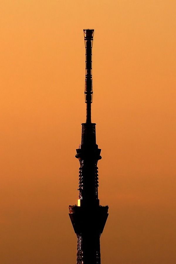 2013年2月17日の東京スカイツリーのシルエット 東京スカイツリー定点観測所