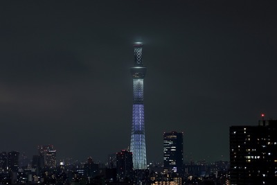 東京スカイツリー夜景「咲」