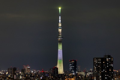 東京スカイツリー夜景「ゆり」