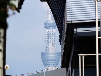 竹芝から見た東京スカイツリー