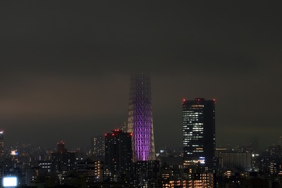 東京スカイツリー夜景「雅」