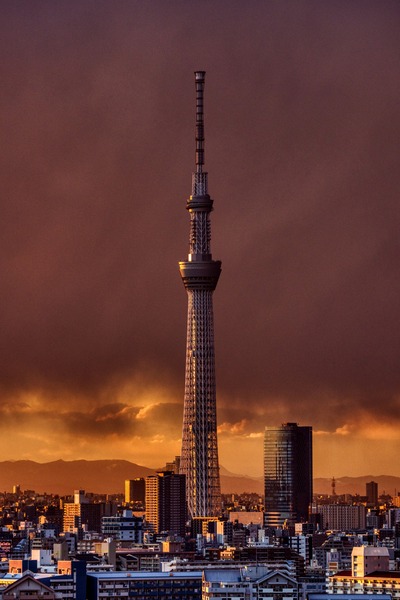 夕日を浴びる東京スカイツリー