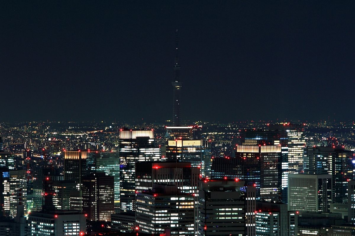 東京スカイツリー定点観測所