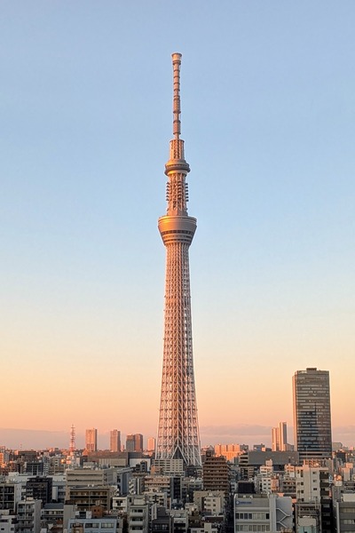 アルカキット錦糸町の屋上から見た東京スカイツリー
