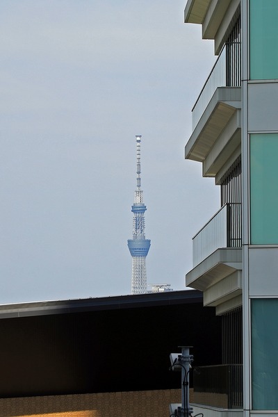 東京ポートシティ竹芝オフィスタワーから見えた東京スカイツリー