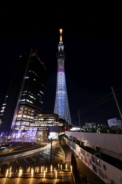 ラッコをイメージしたライティング
