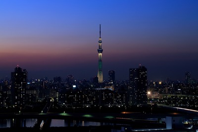 トワイライトタイムのシャンパンツリー