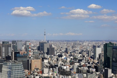 東京タワーから見た東京スカイツリー