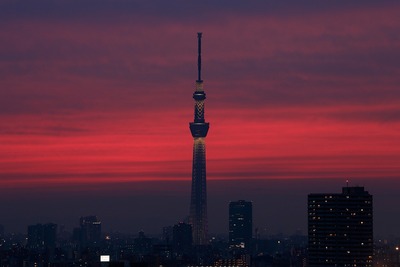真っ赤に焼けた東京スカイツリー