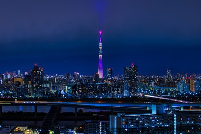 東京スカイツリー夜景「雅」