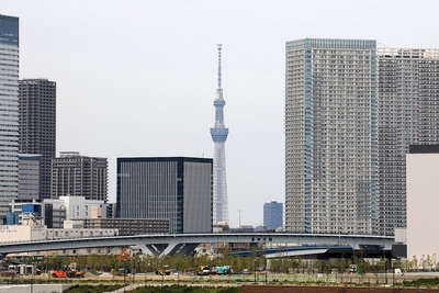 レインボーブリッジから見た東京スカイツリー