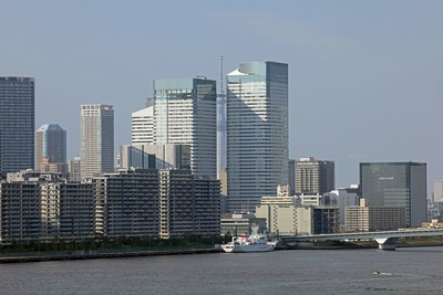 レインボーブリッジから撮影した東京隙間ツリー