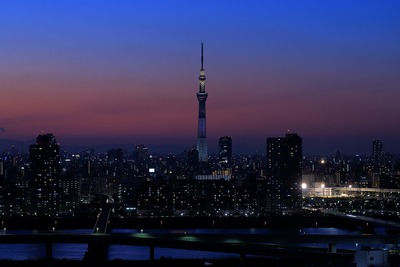 東京スカイツリー夜景「ホワイトショコラ」