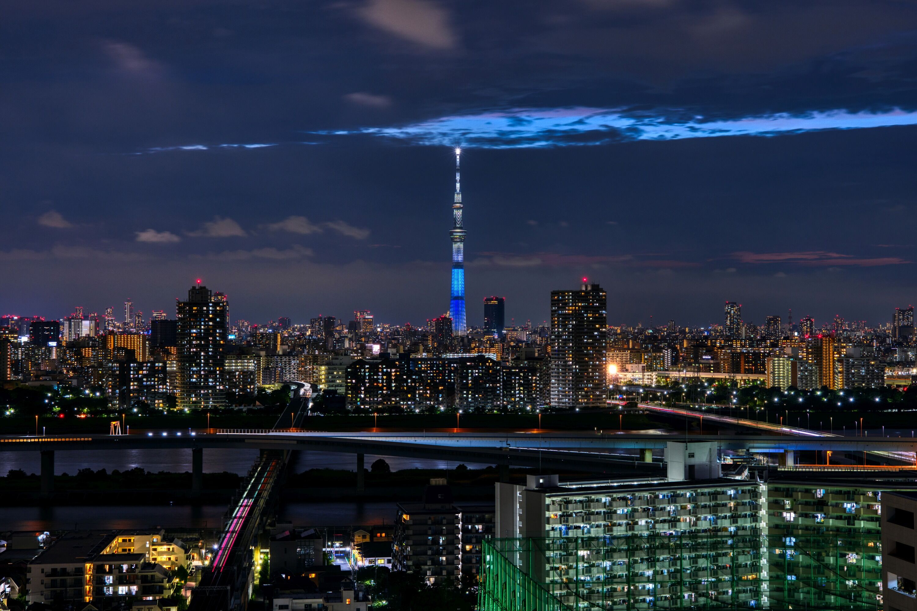 東京スカイツリー定点観測所