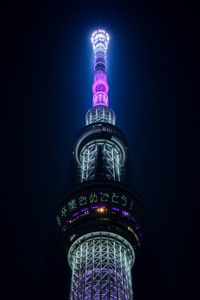 東京スカイツリー夜景「舞」