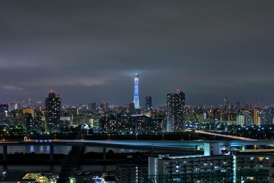 白色のライティング