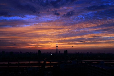 東京スカイツリー夕景