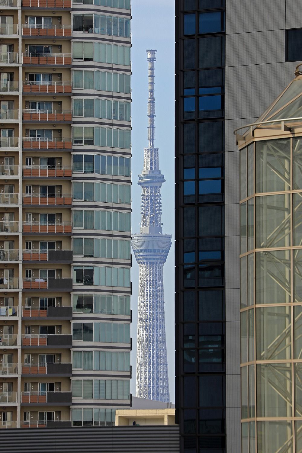 豊洲から見る隙間ツリー 17年6月17日 東京スカイツリー定点観測所 豊洲から見る隙間ツリー 17年6月17日 東京スカイツリー定点観測所