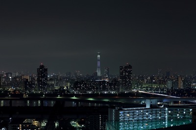 東京スカイツリー夜景「咲」