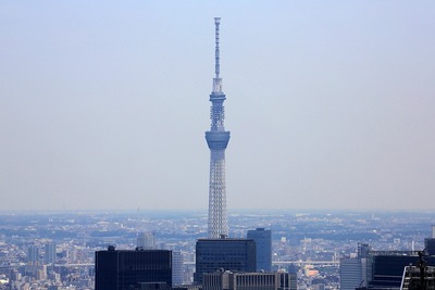 六本木ヒルズから見た東京スカイツリー