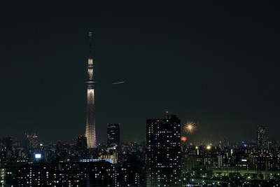 東京スカイツリーと花火大会